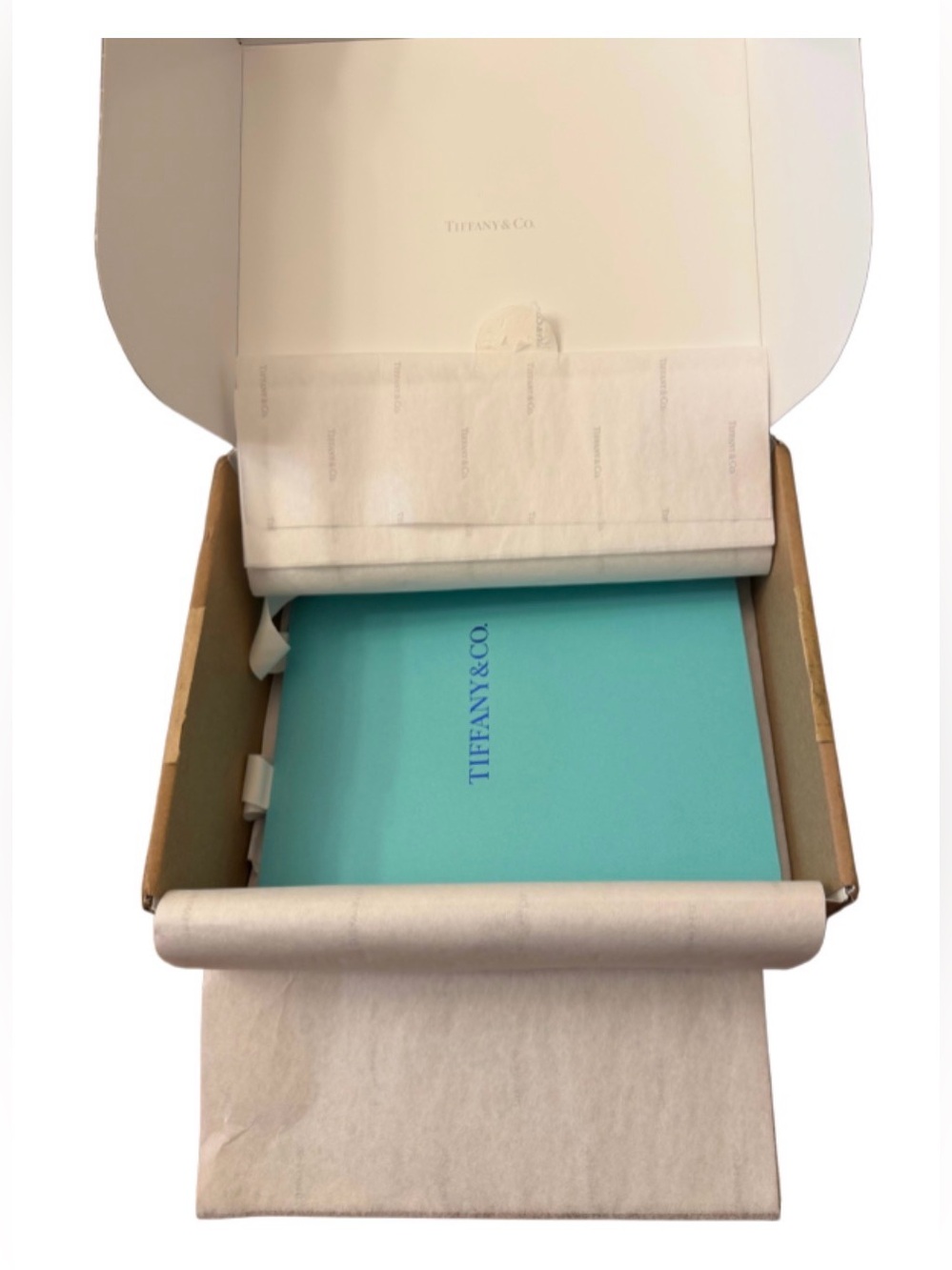 Tiffany & Co. Authentic Shipping Gift Box & Bag Set